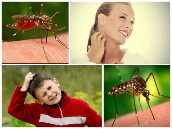Лучшие средства от комаров для детей