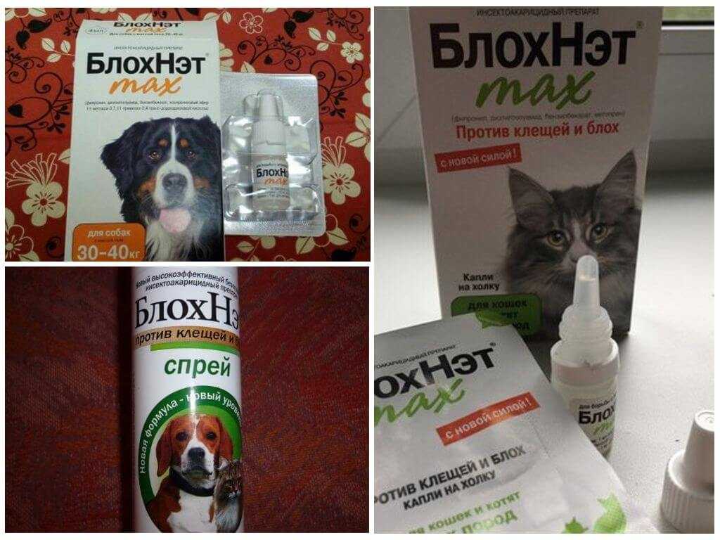 Капли на холку БлохНэт для кошек и собак