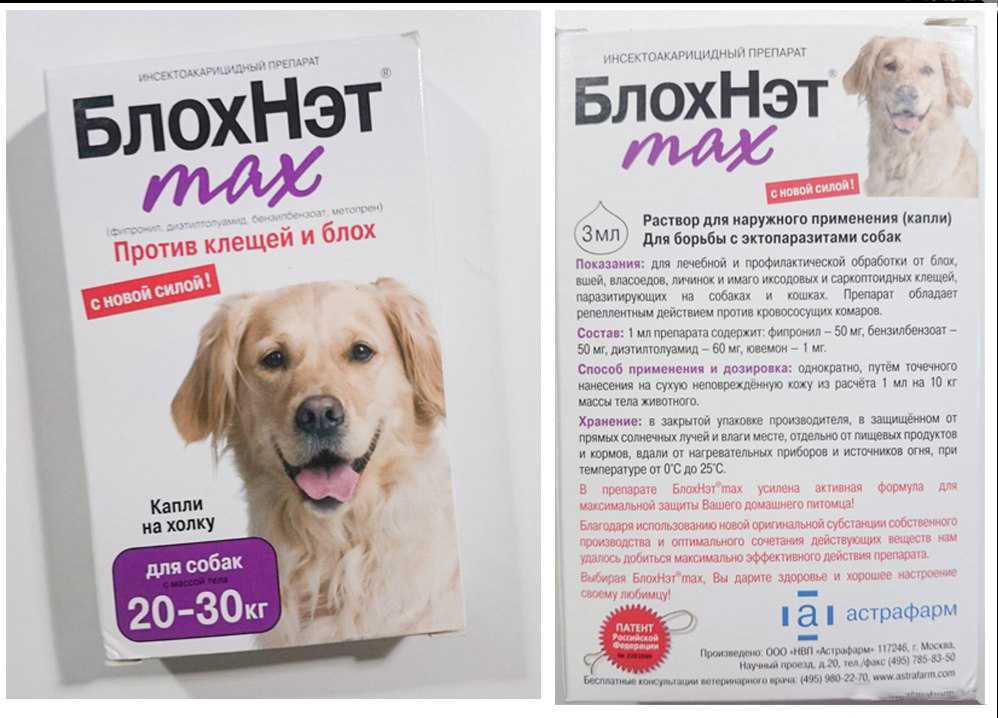 Капли на холку БлохНэт для кошек и собак