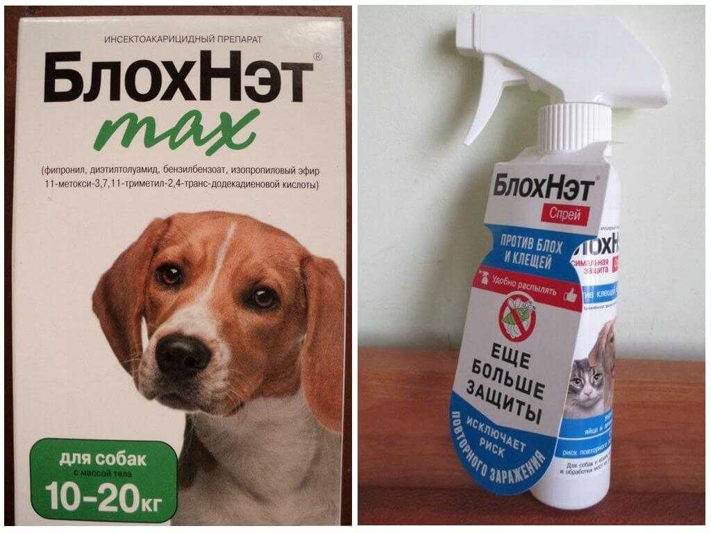 Капли на холку БлохНэт для кошек и собак