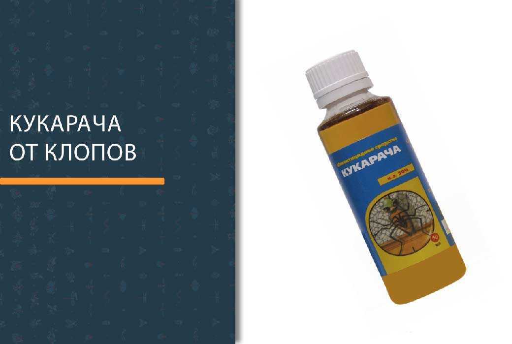 Выводим клопов при помощи средства Кукарача