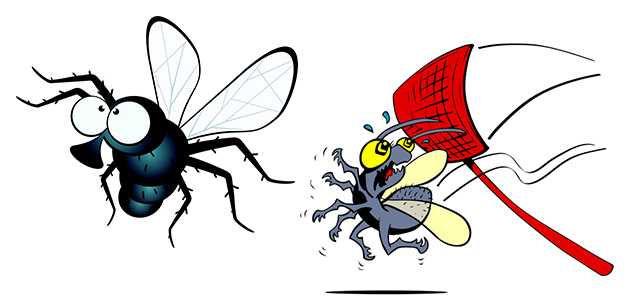 Как избавиться от мух в квартире