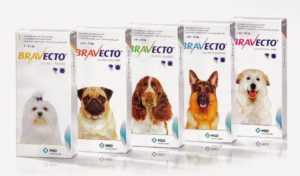 Эффективны ли таблетки от блох для собак в борьбе против паразитов Читайте