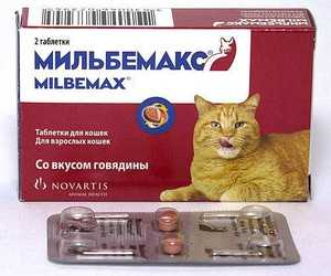 Таблетки от глистов для кошек. В каких случаях их приём необходим