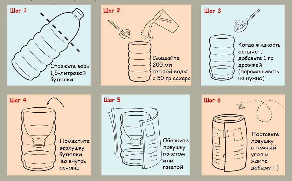 Ловушка для мушек. Ловушка для мух своими руками стоит ли результат затраченных усилий Ловушка-бутылка для мух и плодовых мушек
