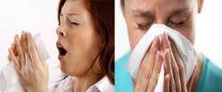 Аллергия на домашнего клеща