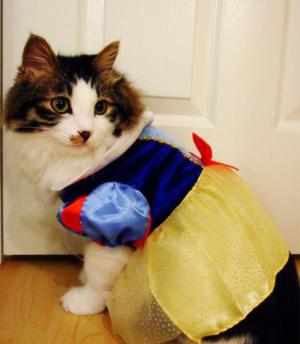 Карнавальный костюм для кошки