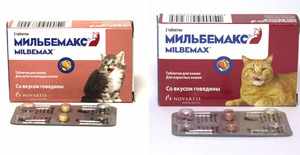 Таблетки Мильбемакс для кошек и собак
