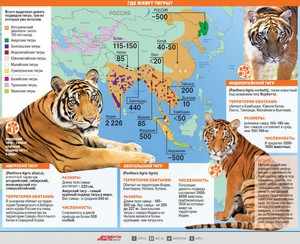 Места обитания тигров на Земле