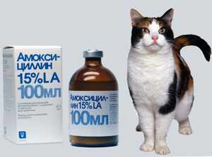 Амоксициллин для кошек суспензия