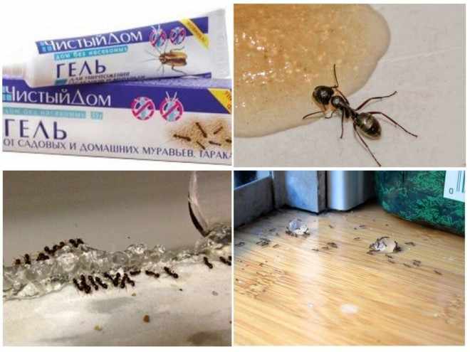 Чистый дом применение от муравьев