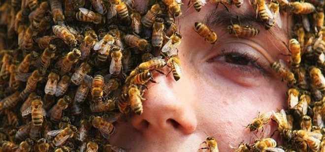 Девушка в пчелах