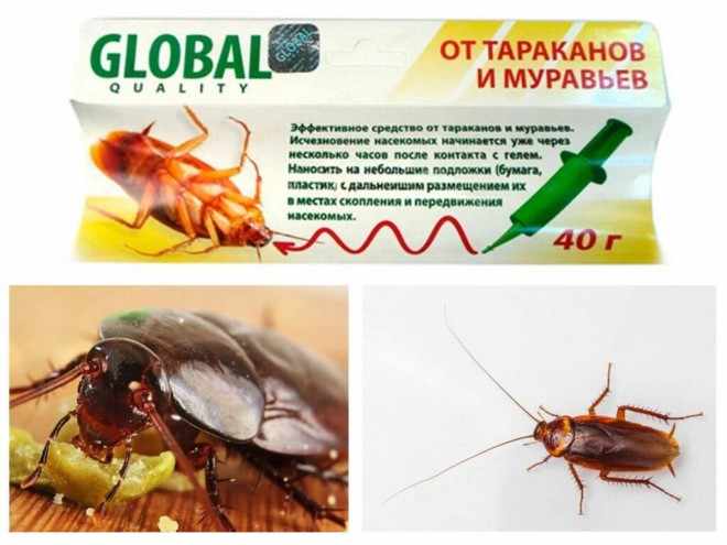Глобал против тараканов