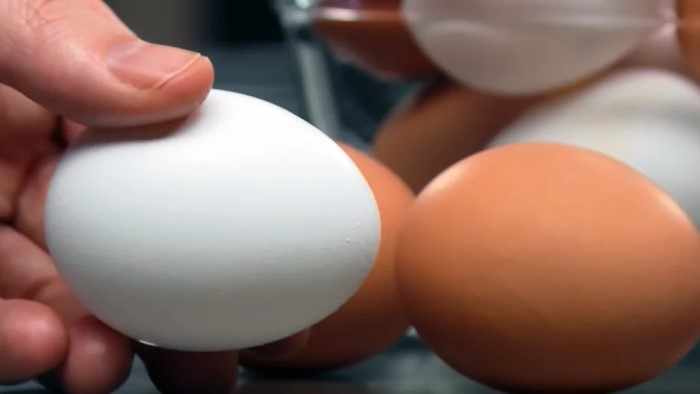 Состав и энергетическая ценность куриного яйца