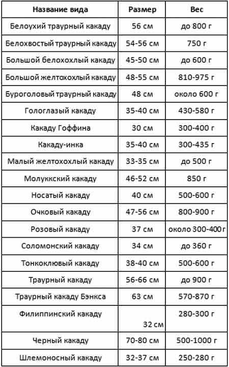 Таблица веса и размера разных видов какаду